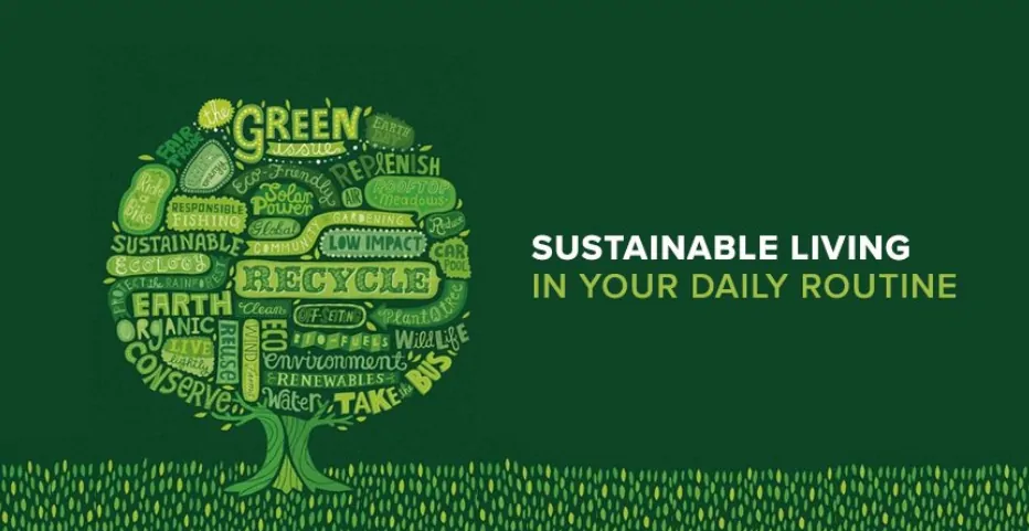 Eco-Friendly Food Packaging Eco-Friendly Food Packaging